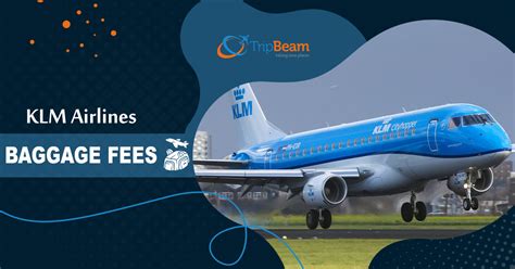 klm checked baggage fees